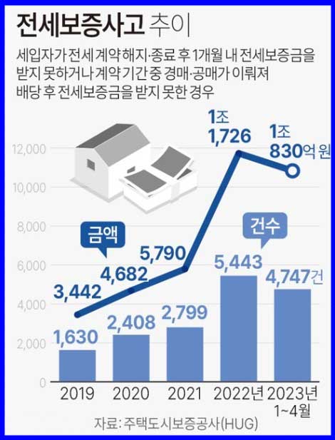 전세보증사고추이 그래프