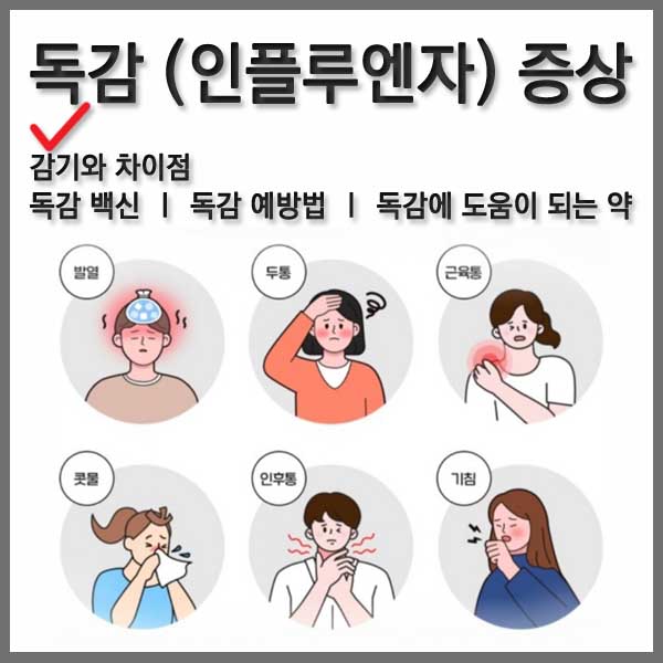 독감 증상 감기의 차이점, 독감백신 및 예방법 도움 되는 약