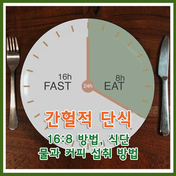 간헐적 단식 썸네일