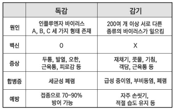 독감 감기 차이점