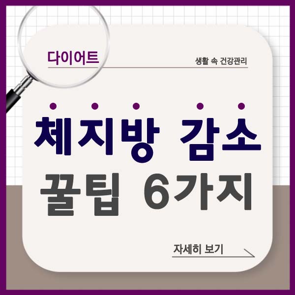 체지방 감소 썸네일