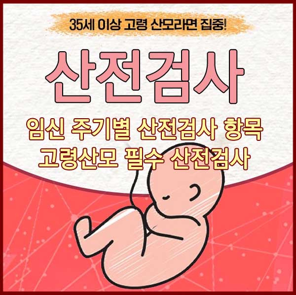 임신 주기별 산전검사 항목 및 고령산모 필수 산전검사
