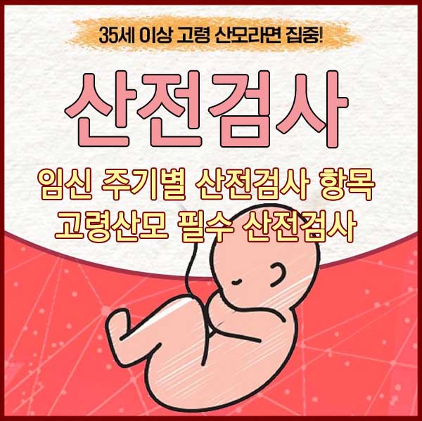 산점검사 고령산모