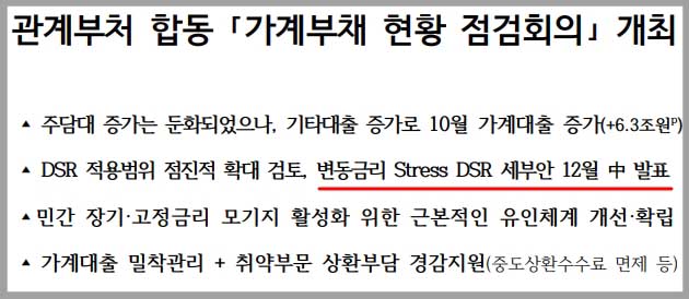 스트레스 DSR 시행 시기