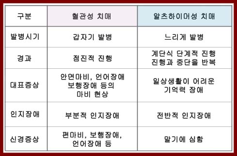 혈관성 치매 와 알츠하이머성 치매 차이점