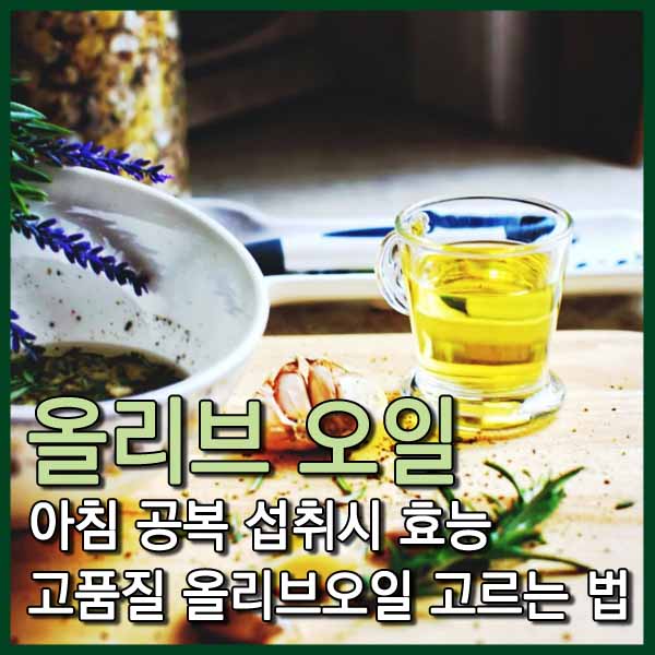 올리브 오일 효능