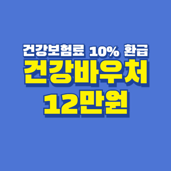 건강바우처 12만원