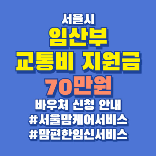 서울 임산부 교통비지원금