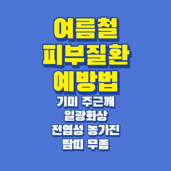 여름철 피부질환