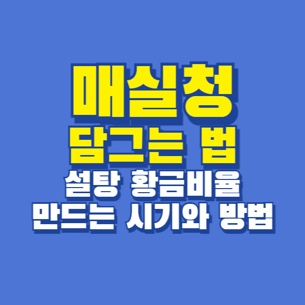 매실청 담그는법