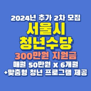 서울시 청년수당 300만원 지원금