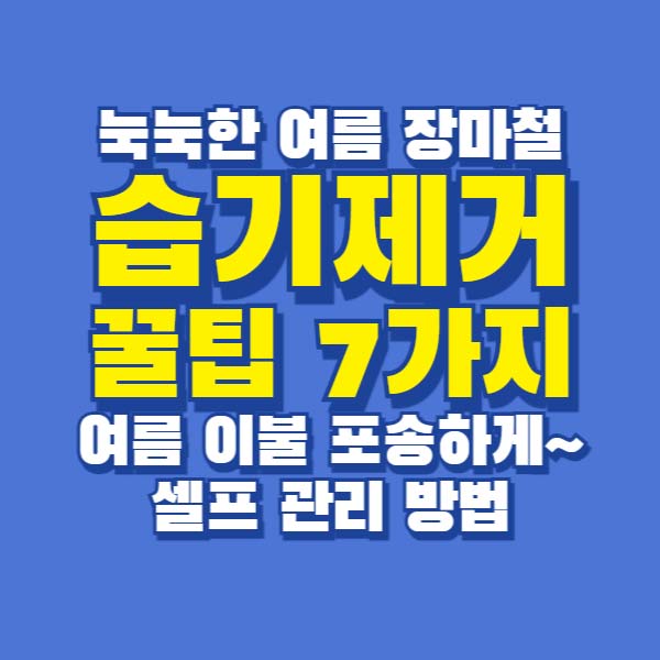 여름 장마철 습기제거 여름이불 관리