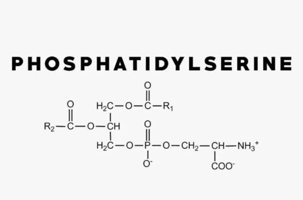 포스파티딜세린
