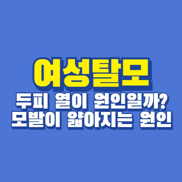 여성탈모 원인