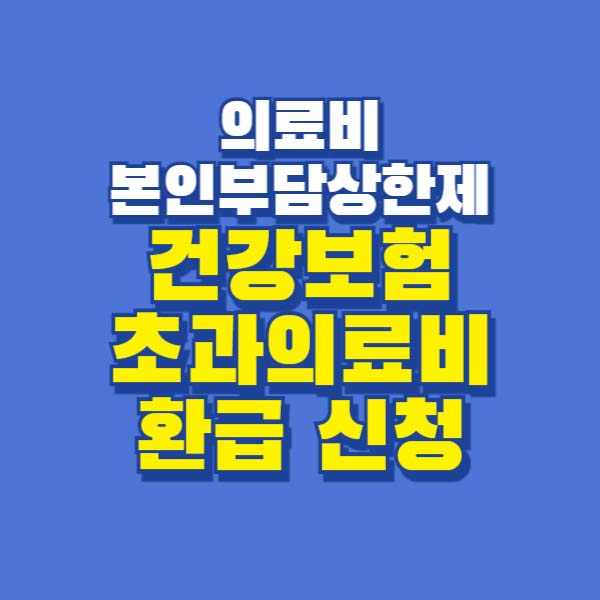 의료비 본인부담상한제 초과의료비 환급