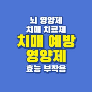 치매예방 뇌 영양제 치매 치료제