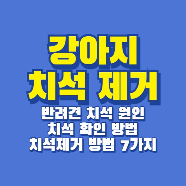 강아지 치석