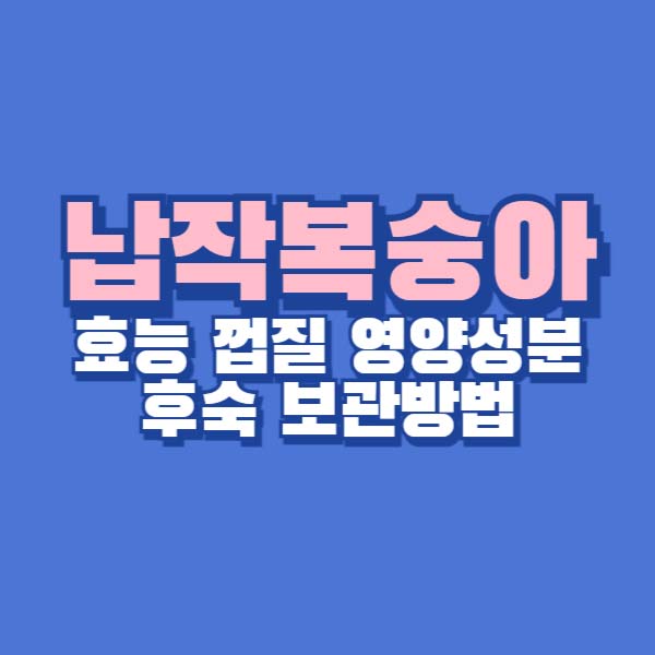 납작 복숭아 신비복숭아 도넛복숭아