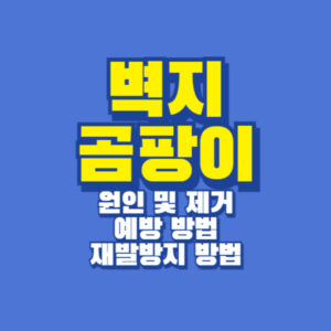 벽지 곰팡이