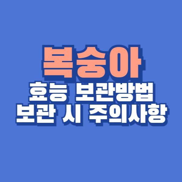 복숭아 효능 보관 방법