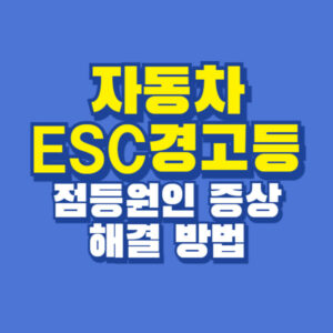 자동차 esc 경고등