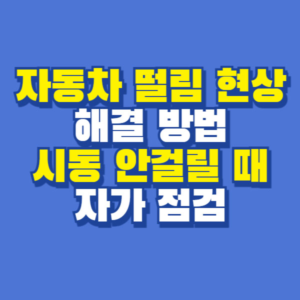 자동차 떨림 시동 안걸림