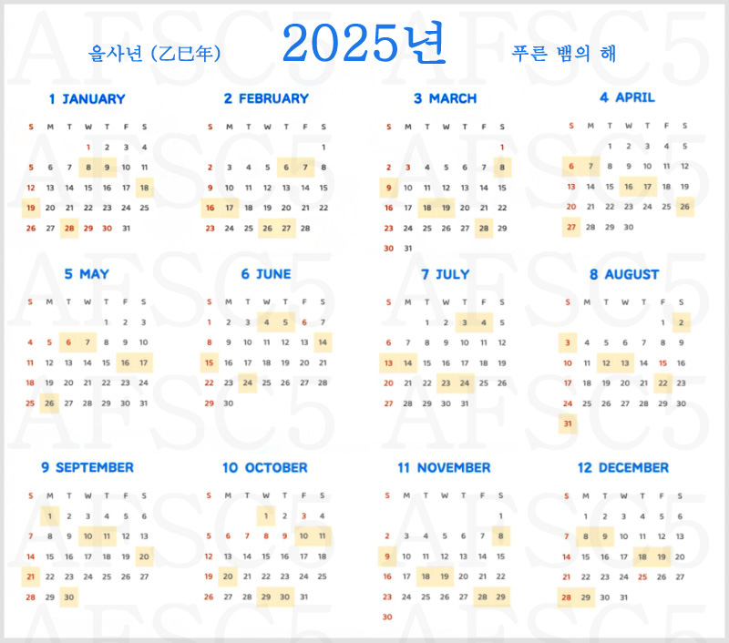 2025년 손없는날