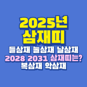 삼재 2025년 삼재띠