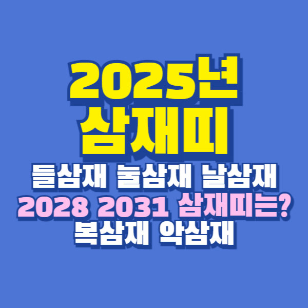 삼재 2025년 삼재띠