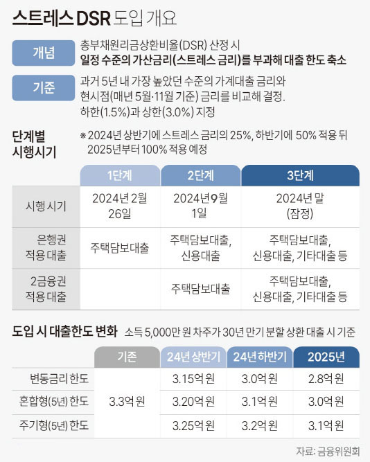 스트레스 DSR 단계별 도입 개요