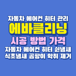 에바클리닝