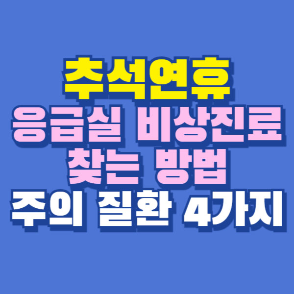 추석 연휴 응급실 비상진료 주의 질환