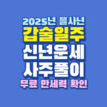 2025년 을사년 갑술일주 운세