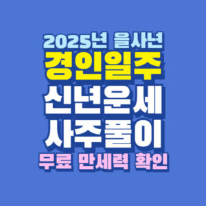 2025년 을사년 경인일주