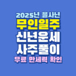 2025년 을사년 무인일주 신년 운세