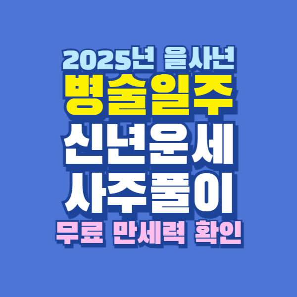 2025년 을사년 병술일주 신년 운세