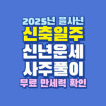 2025년 을사년 신축일주