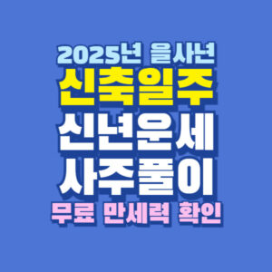 2025년 을사년 신축일주