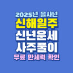 2025년 을사년 신해일주 신년 운세