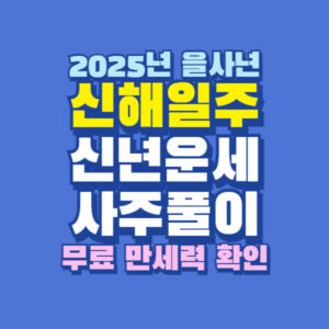 2025년 을사년 신해일주 신년 운세