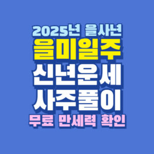 2025년 을사년 을미일주 운세