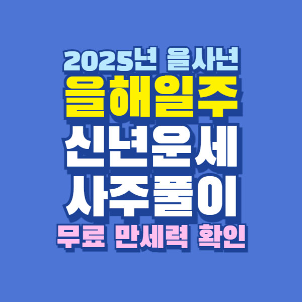 2025년 을사년 을해일주 신년 운세