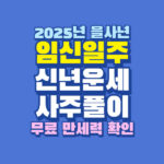 2025년 을사년 임신일주 신년 운세