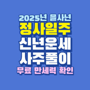 2025년 을사년 정사일주