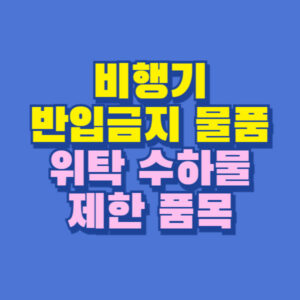 비행기 반입 금지 물품