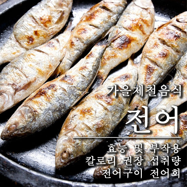 전어 l 효능 l 부작용 l 가을전어 l 전어회 l 전어구이 l 전어축제