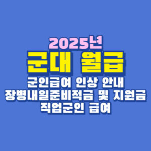 2025년 군대 월급