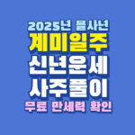 2025년 을사년 계미일주 신년 운세