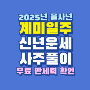 2025년 을사년 계미일주 신년 운세