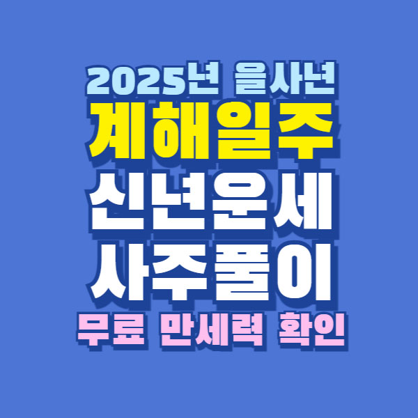 2025년 을사년 계해일주 운세